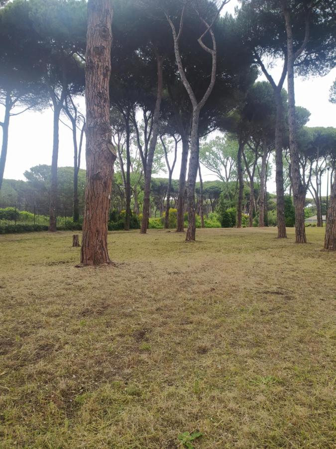 Ferienwohnung Attico Con Terrazza In Via Dei Traghetti Lido di Ostia Exterior foto